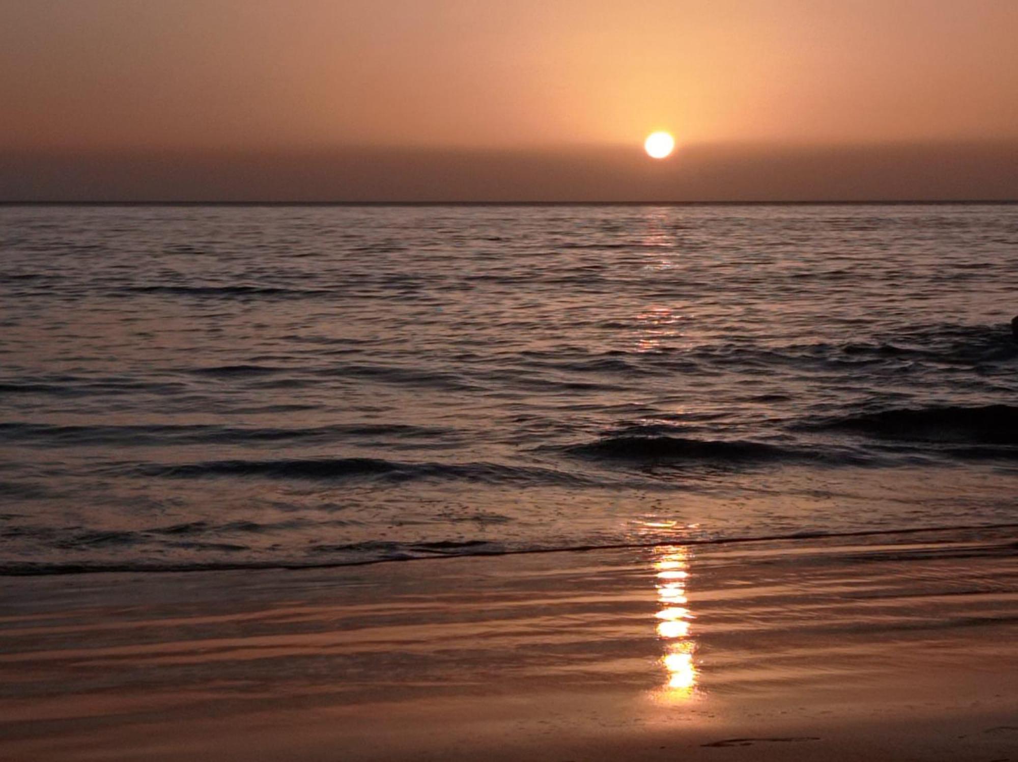 Playa de TasarteAnmar Tasarteアパートメント エクステリア 写真